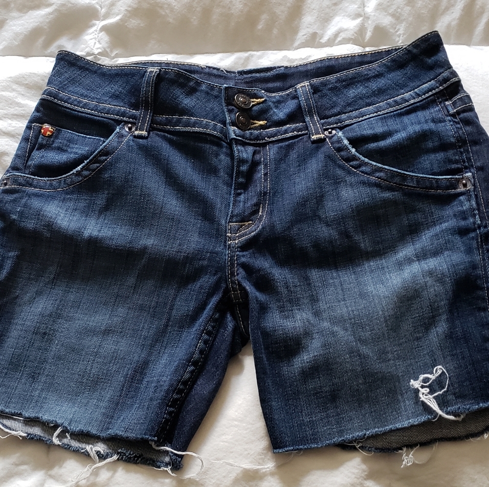 Hudson Jean's Shorts